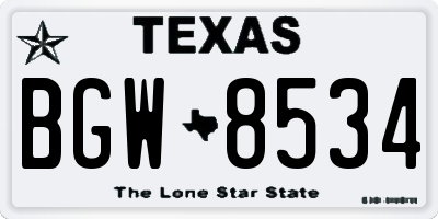 TX license plate BGW8534