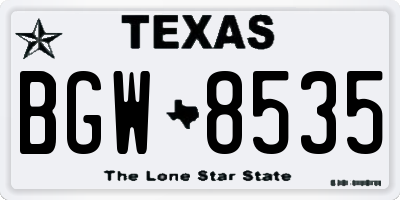TX license plate BGW8535