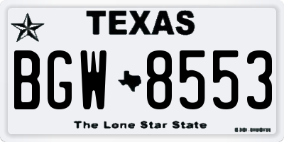 TX license plate BGW8553