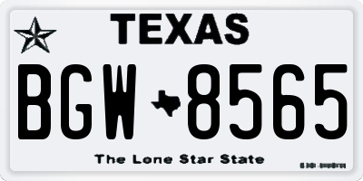 TX license plate BGW8565