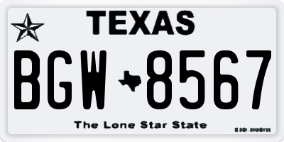 TX license plate BGW8567