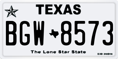 TX license plate BGW8573