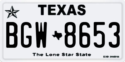 TX license plate BGW8653
