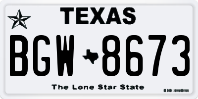 TX license plate BGW8673