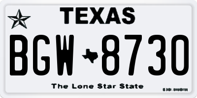 TX license plate BGW8730