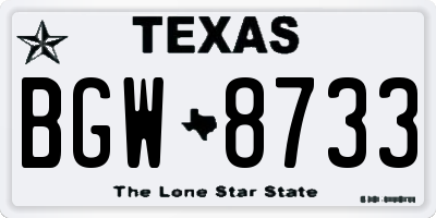 TX license plate BGW8733