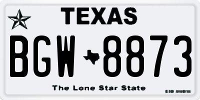 TX license plate BGW8873