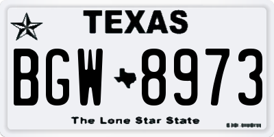 TX license plate BGW8973