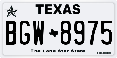 TX license plate BGW8975