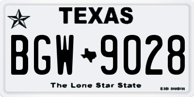 TX license plate BGW9028