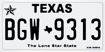TX license plate BGW9313