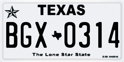 TX license plate BGX0314