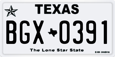 TX license plate BGX0391