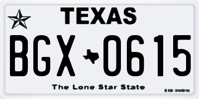 TX license plate BGX0615