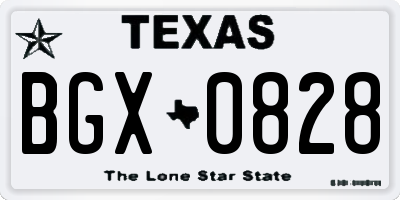 TX license plate BGX0828