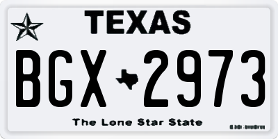 TX license plate BGX2973