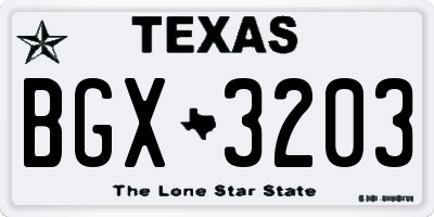 TX license plate BGX3203