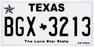 TX license plate BGX3213