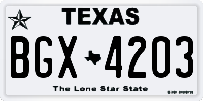 TX license plate BGX4203