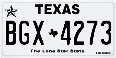 TX license plate BGX4273