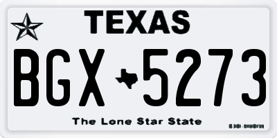 TX license plate BGX5273