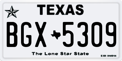TX license plate BGX5309