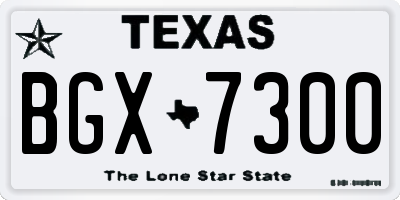TX license plate BGX7300