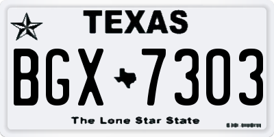 TX license plate BGX7303