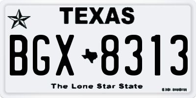 TX license plate BGX8313