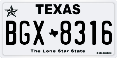 TX license plate BGX8316