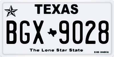 TX license plate BGX9028