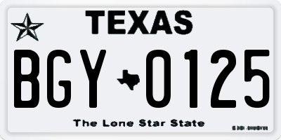 TX license plate BGY0125
