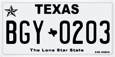 TX license plate BGY0203