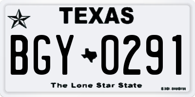 TX license plate BGY0291