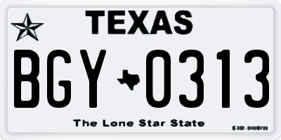 TX license plate BGY0313