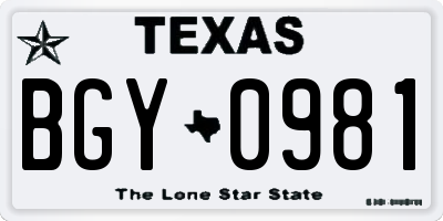 TX license plate BGY0981