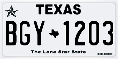 TX license plate BGY1203