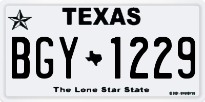 TX license plate BGY1229