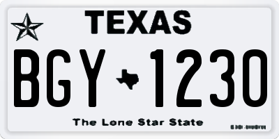 TX license plate BGY1230