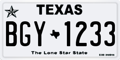 TX license plate BGY1233