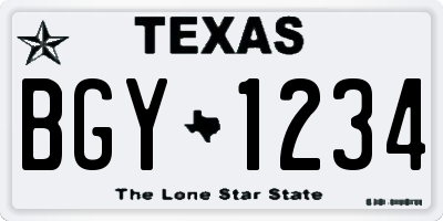 TX license plate BGY1234