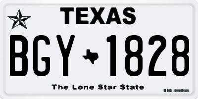 TX license plate BGY1828