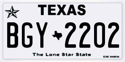 TX license plate BGY2202