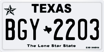 TX license plate BGY2203