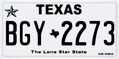 TX license plate BGY2273