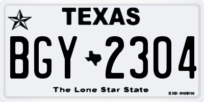 TX license plate BGY2304