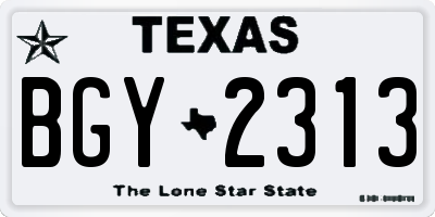 TX license plate BGY2313