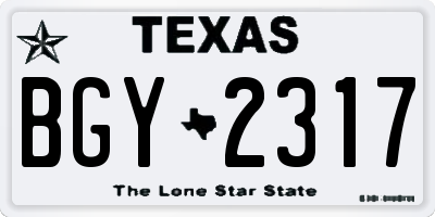 TX license plate BGY2317