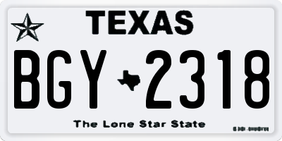 TX license plate BGY2318