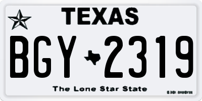 TX license plate BGY2319